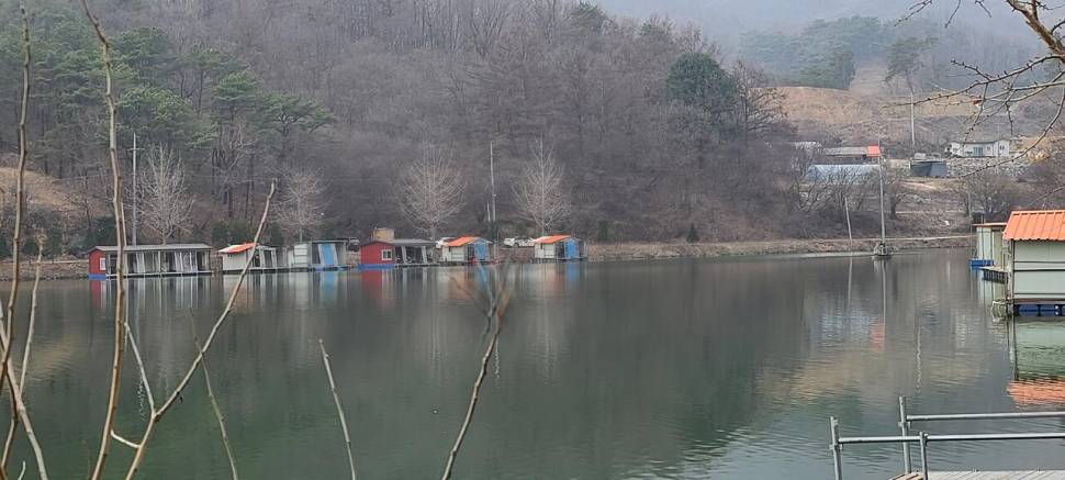 양평 힐링 수곡낚시터 둘째주 주말 조황 및 붕어 방류 (유료터정보 - 유료터점주조황)