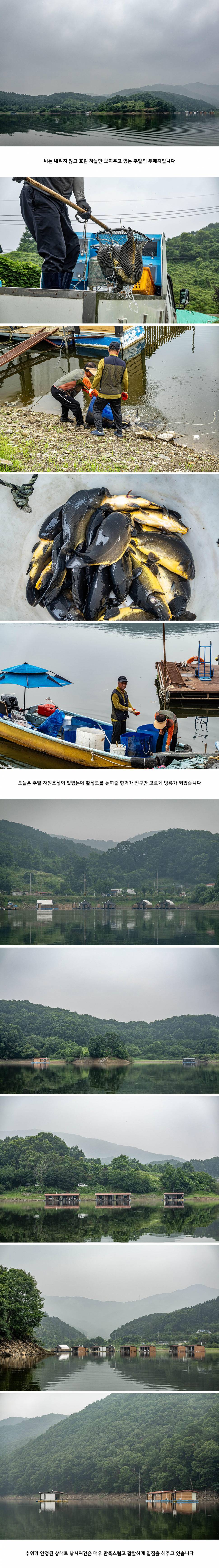 안성 두메낚시터 6월 28일 조황정보 (유료터정보 - 유료터점주조황)