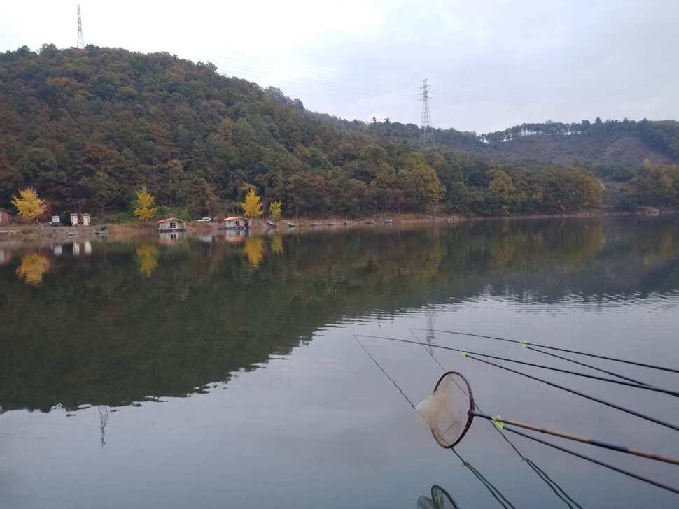 붕어낚시 양평 수곡낚시터 어제조황도 고르게 잘 나와주었습니다 (유료터정보 - 유료터점주조황)