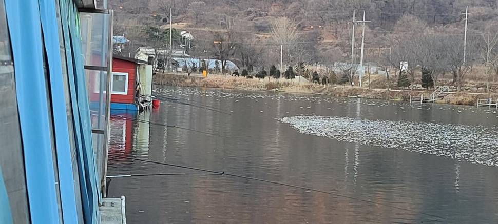 겨울붕어낚시 수곡낚시터 수상좌대할인 행사 및 주중 조황 붕어 방류 안내 (유료터정보 - 유료터점주조황)