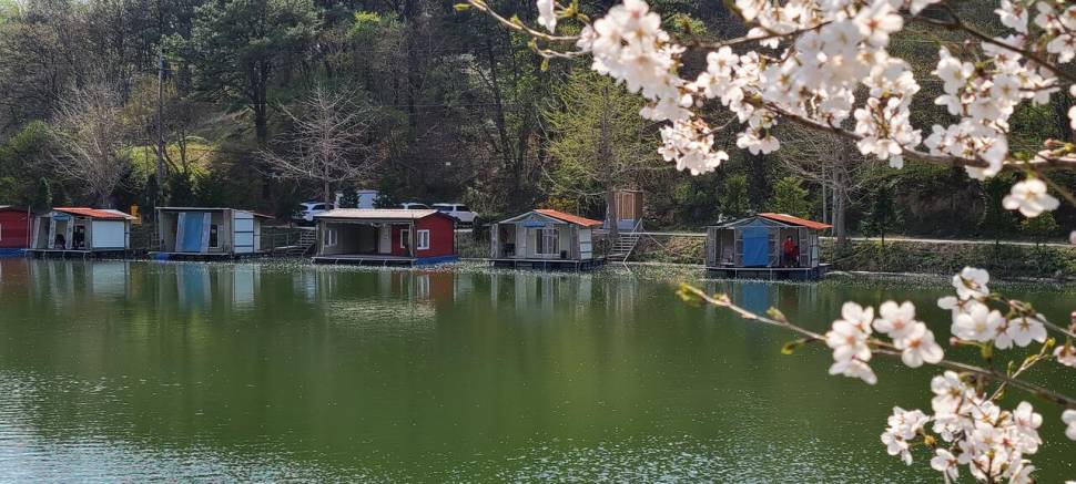 4월둘째주 양평 힐링 수곡낚시터 조황 붕어방류 (유료터정보 - 유료터점주조황)