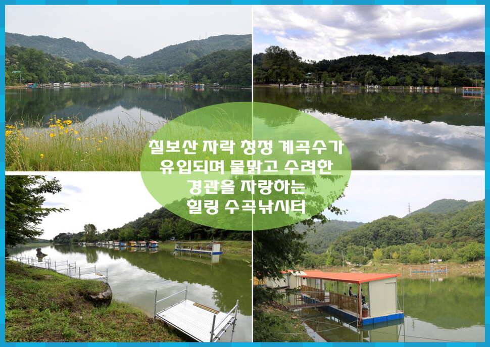 붕어낚시 양평 수곡 낚시터 일요일도 붕어낚시 조황 꾸준합니다 (유료터정보 - 유료터점주조황)