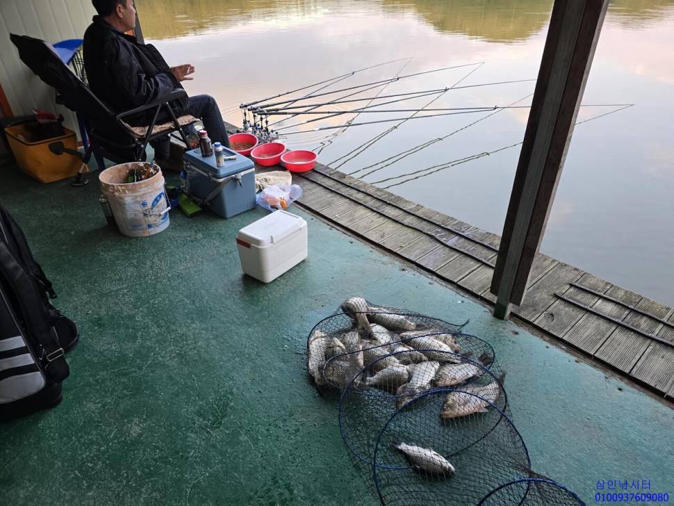 가깝고 물 좋고 경치 좋은 곳용인삼인낚시터 (유료터정보 - 유료터점주조황)
