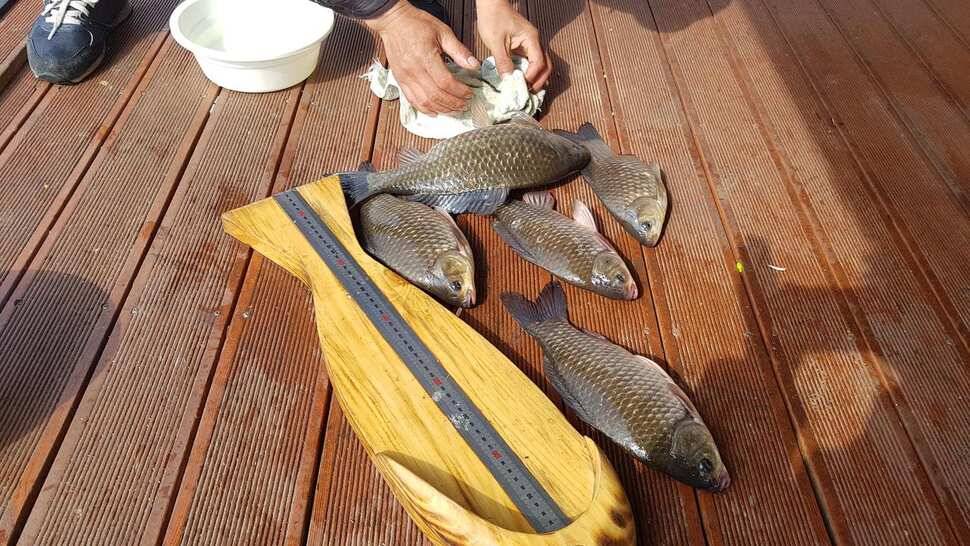 주말 오산집 조황 입니다 (유료터정보 - 유료터점주조황)