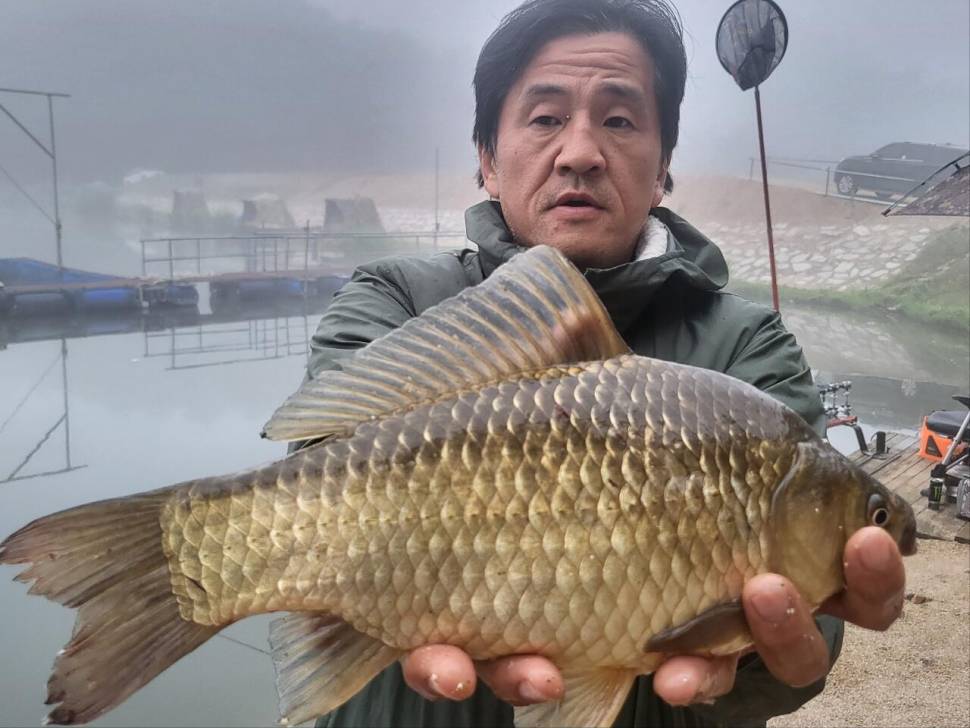 붕어 방류소식과 조황정보 전해드립니다 (유료터정보 - 유료터점주조황)