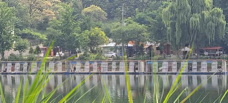 양평낚시터 힐링 수곡낚시터 수목요일 주중 조황도 고르게 나와주고 있습니다 (유료터정보 - 유료터점주조황)