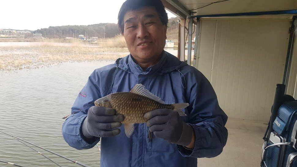 당진 가교리낚시터 4월 10일 토종붕어 조황 (유료터정보 - 유료터점주조황)