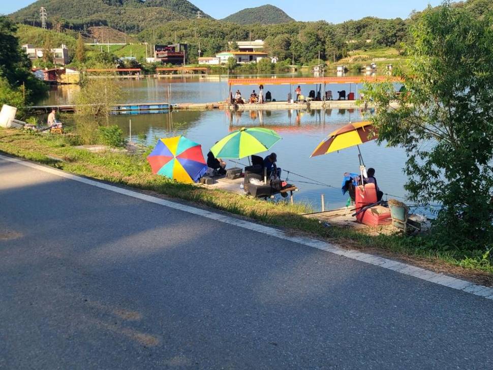 반제지 붕어낚시 주말조황정보 (유료터정보 - 유료터점주조황)