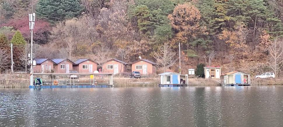 힐링양평 수곡낚시터 주중반 조황 및 오늘 붕어 방류 완료 (유료터정보 - 유료터점주조황)