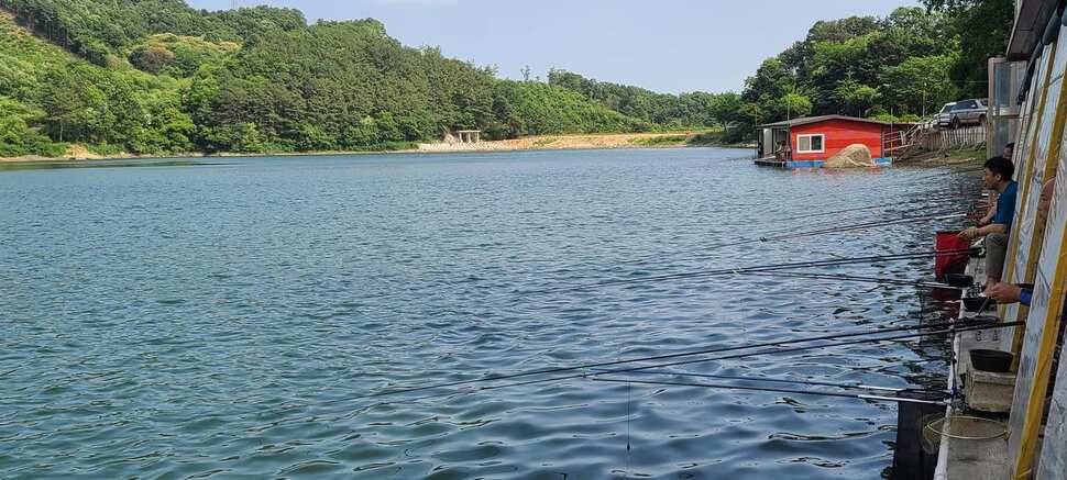양평 힐링 수곡지 수곡낚시터 일요일 조황도 괜찬았습니다 (유료터정보 - 유료터점주조황)