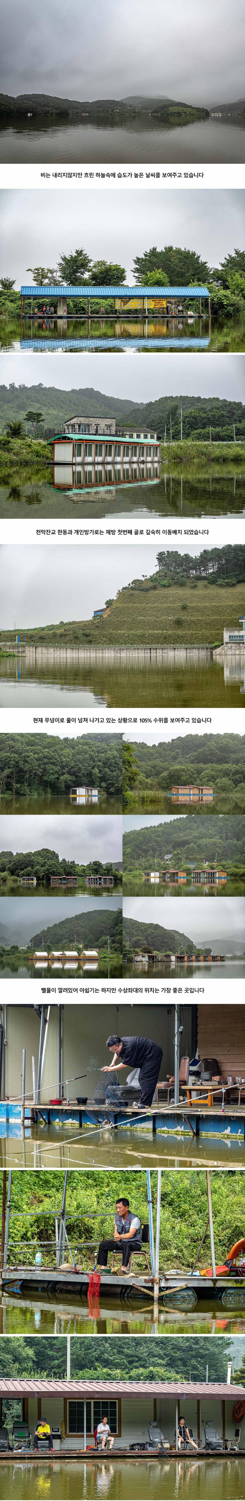 안성 두메낚시터 7월 31일 조황정보 (유료터정보 - 유료터점주조황)