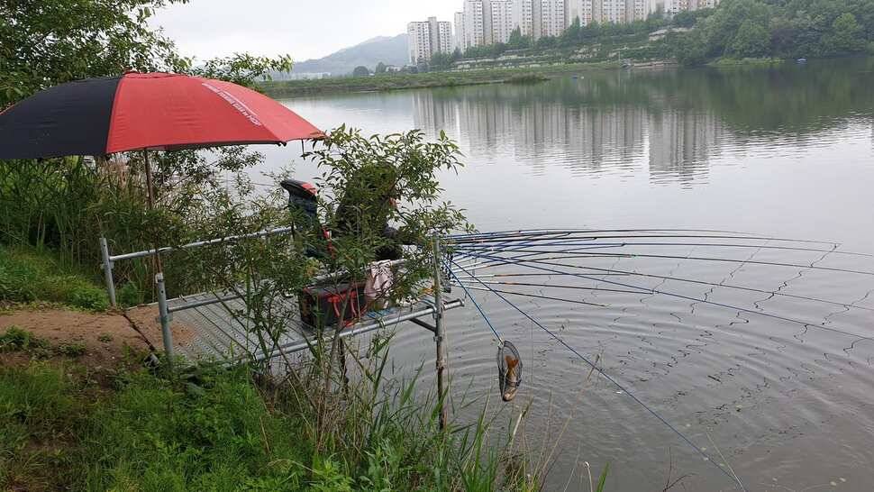 아산 명품 월랑낚시터 5월 세번째 조황이야기입니다 (유료터정보 - 유료터점주조황)