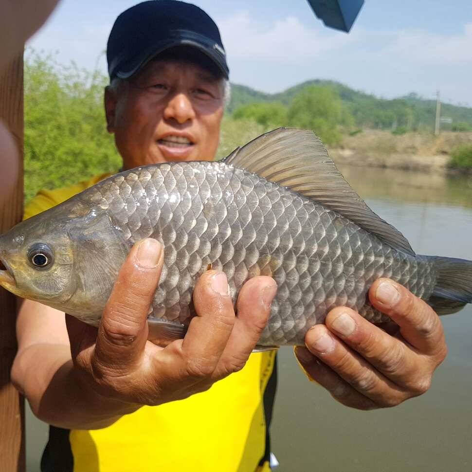 황금연휴 오산집 조황 (유료터정보 - 유료터점주조황)