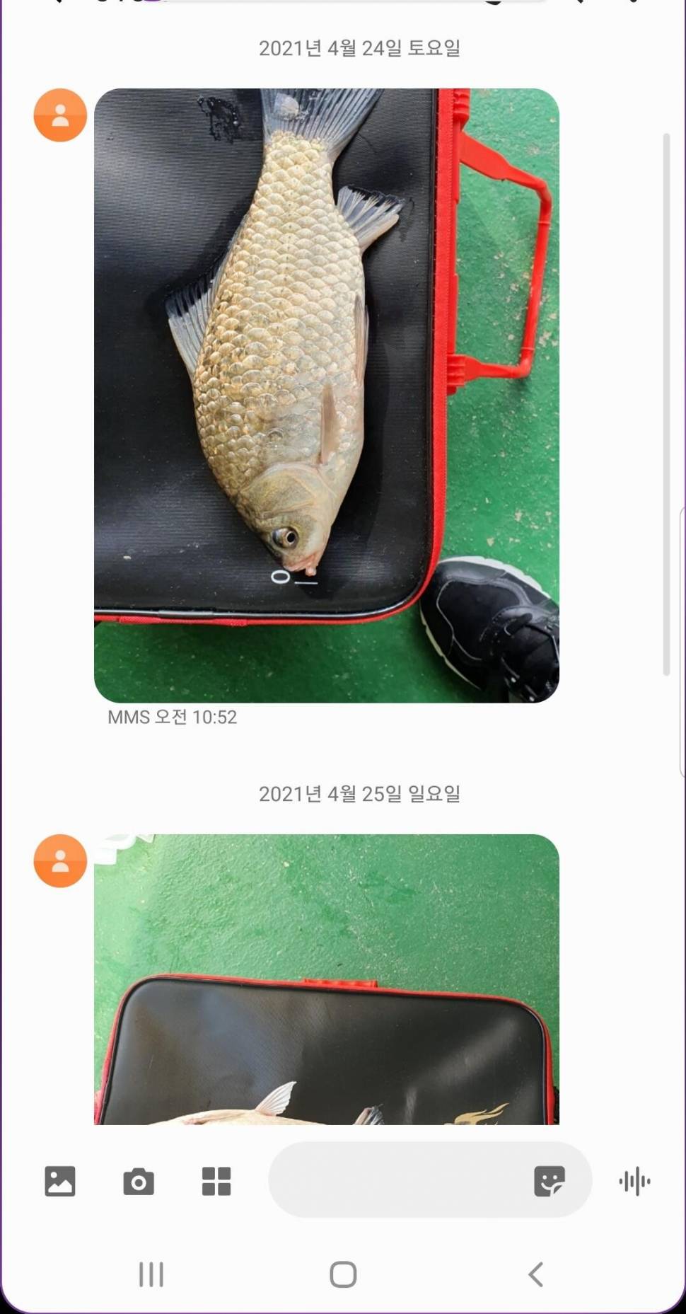 2021년 4월 마지막주 조황정보 용인 용담낚시터사암지 (유료터정보 - 유료터점주조황)
