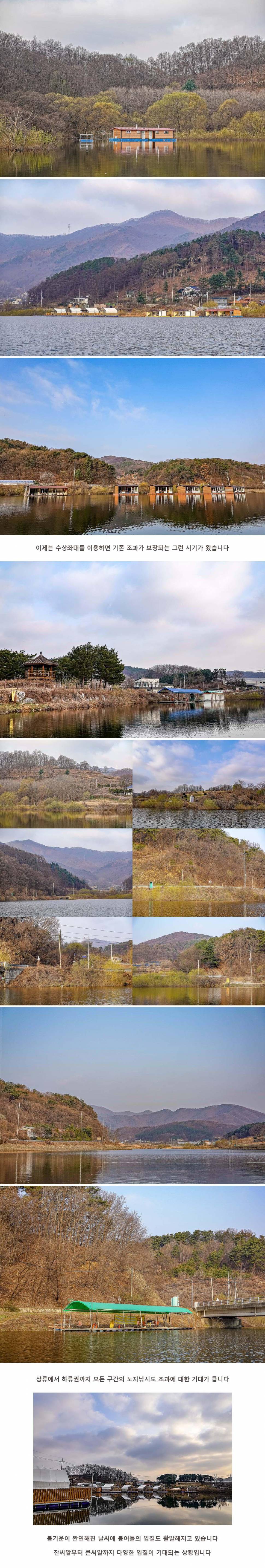 안성 두메낚시터 3월 25일 조황정보 (유료터정보 - 유료터점주조황)