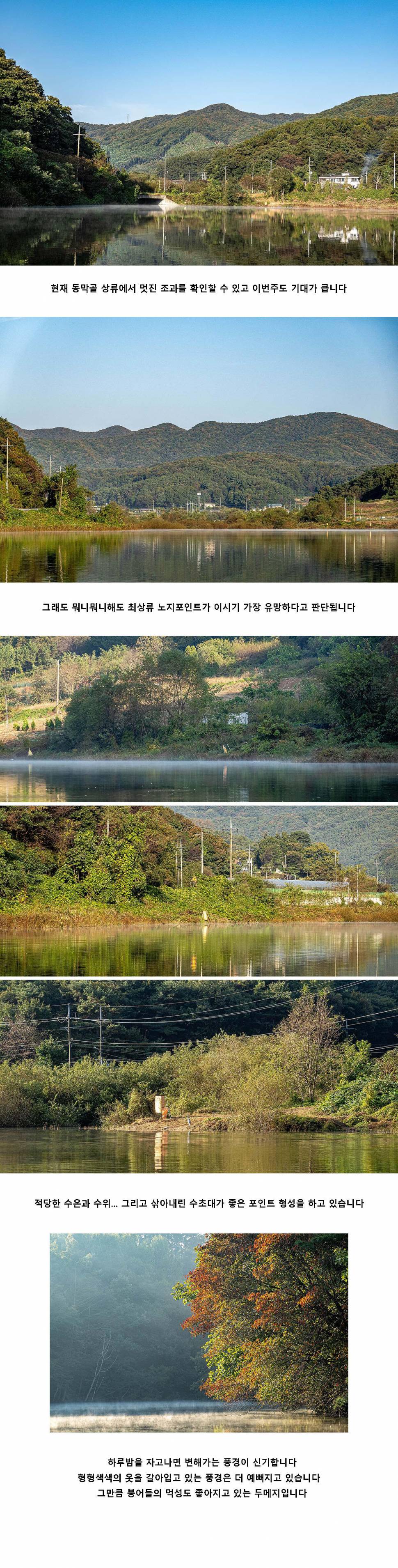 안성 두메낚시터 10월 12일 조황정보 (유료터정보 - 유료터점주조황)