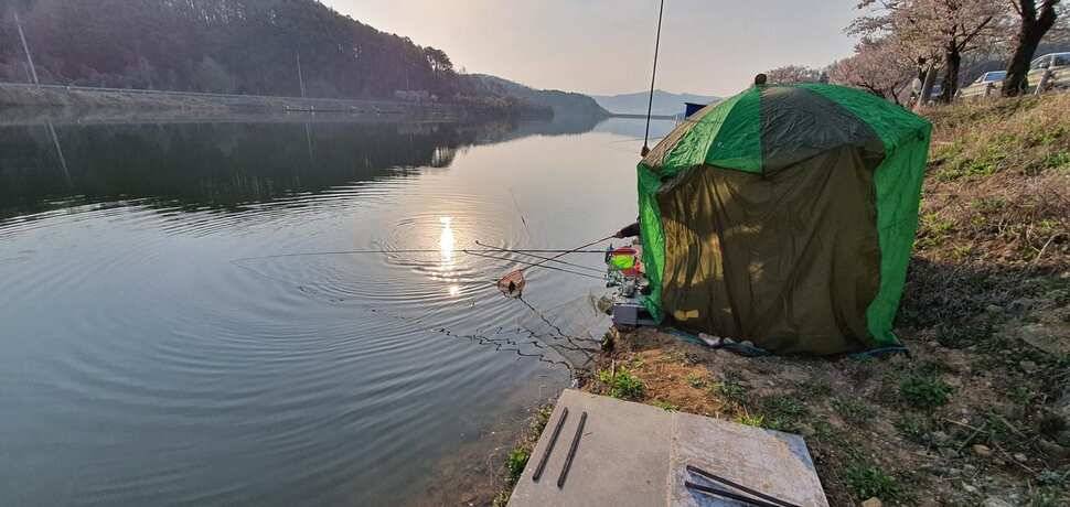 공주 고성낚시터 입니다 (유료터정보 - 유료터점주조황)