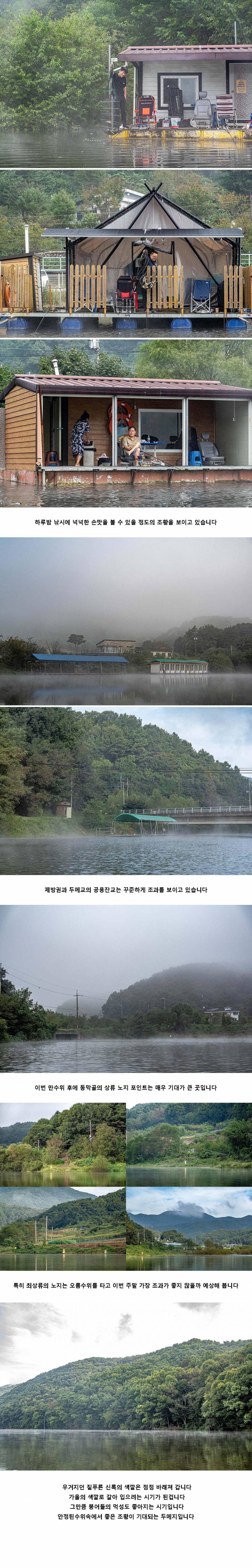 안성 두메낚시터 9월 22일 조황정보 (유료터정보 - 유료터점주조황)