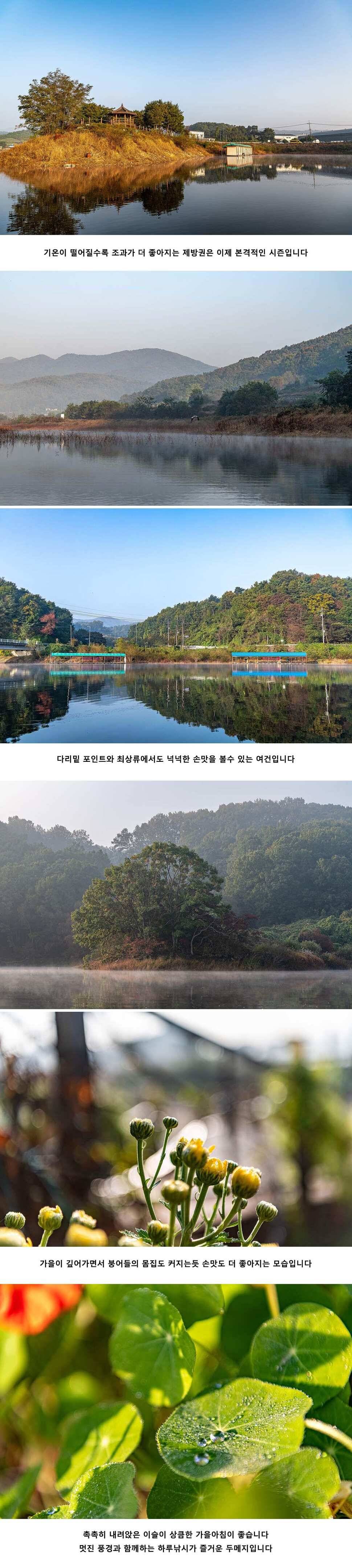 안성 두메낚시터 10월 21일 조황정보 (유료터정보 - 유료터점주조황)