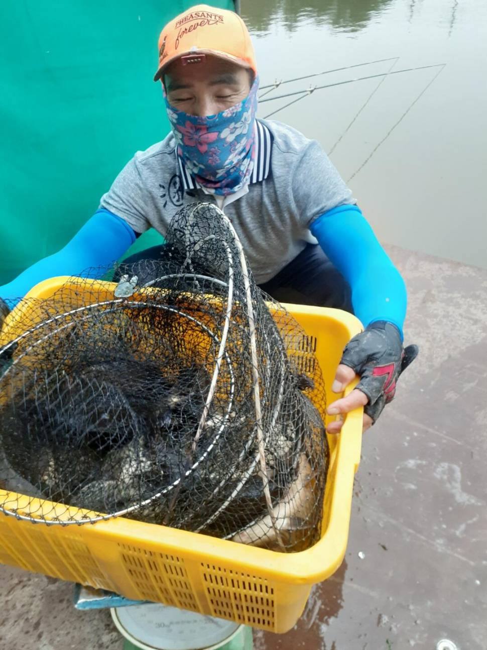 경주 동산낚시터붕어 전용 잡이터 지난주 조황 (유료터정보 - 유료터점주조황)