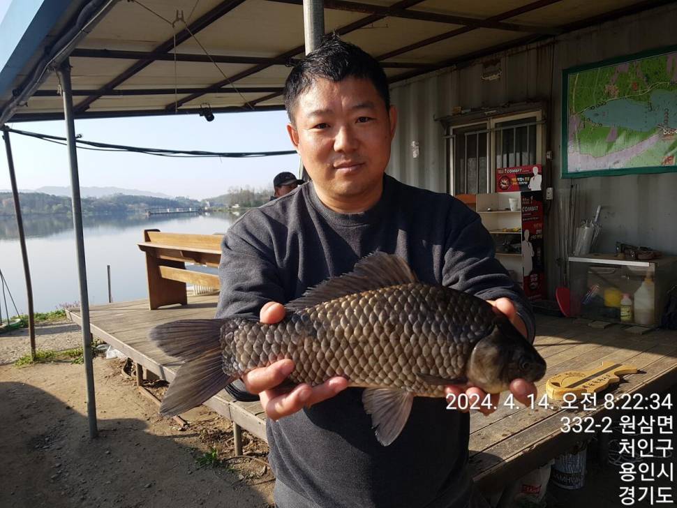 2024년 04월 셋째주 조황정보 용담낚시터사암지 4짜 5마리 (유료터정보 - 유료터점주조황)