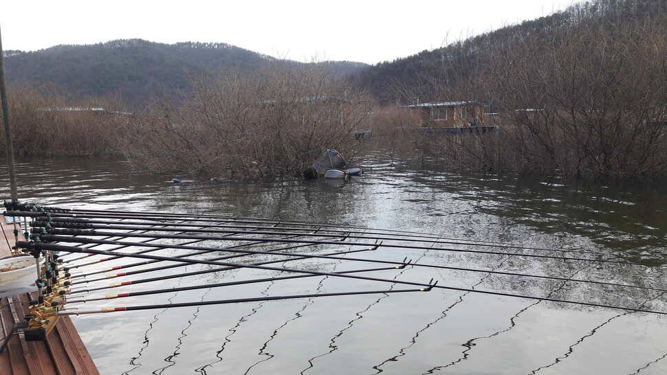 송전지 창신낚시터 조황 (유료터정보 - 유료터점주조황)