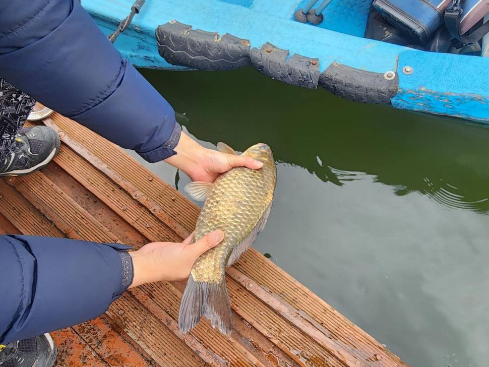 송전지 창신집 45cm 대박 조황 (유료터정보 - 유료터점주조황)