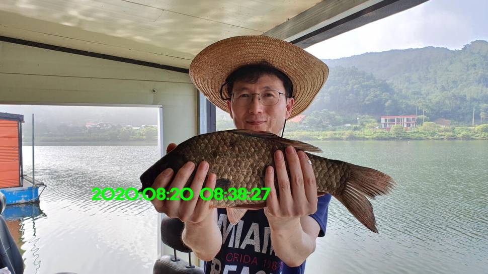 신원낚시터 8월27일 토종붕어 45짜리와 덩어리들 사진입니다 (유료터정보 - 유료터점주조황)