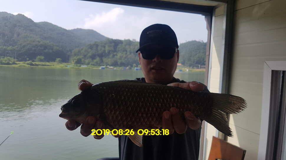신원낚시터 8월27일 토종 4짜 소식입니다 (유료터정보 - 유료터점주조황)