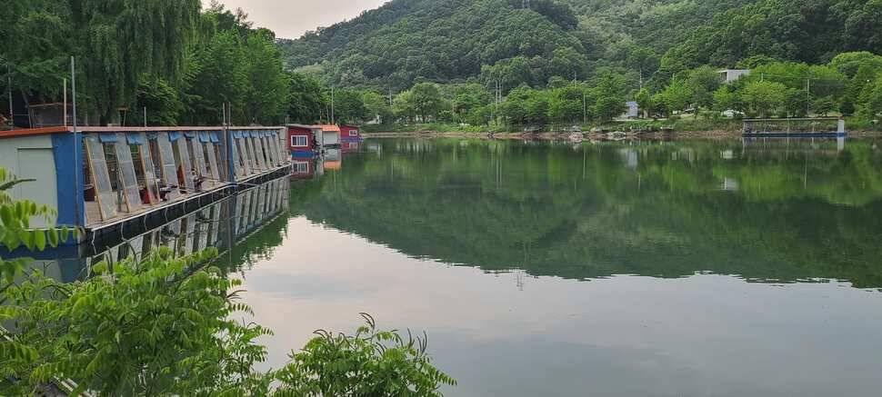 양평낚시터 수곡낚시터 주중조황 고른편이나 편차는 있네요 (유료터정보 - 유료터점주조황)