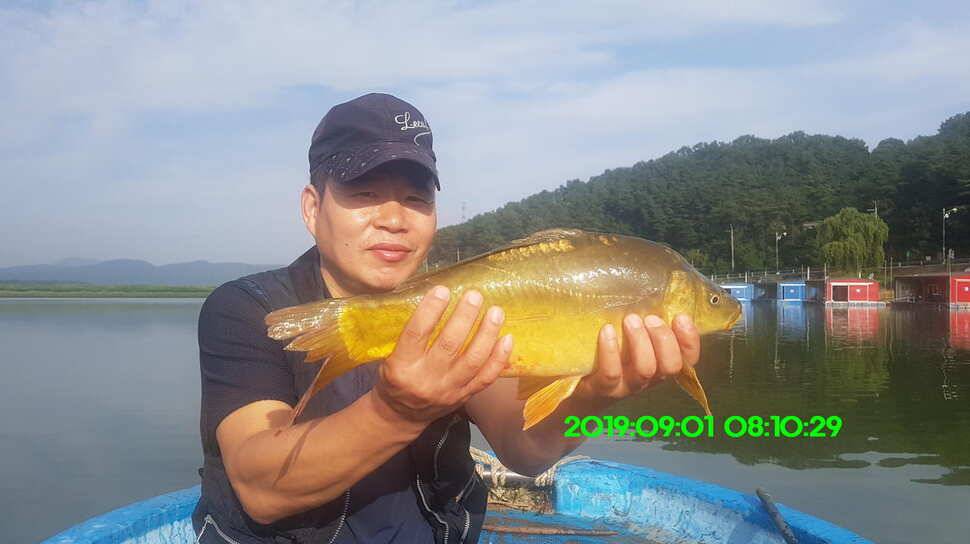 신원낚시터 토종대물 방류 소식과 조황입니다 (유료터정보 - 유료터점주조황)