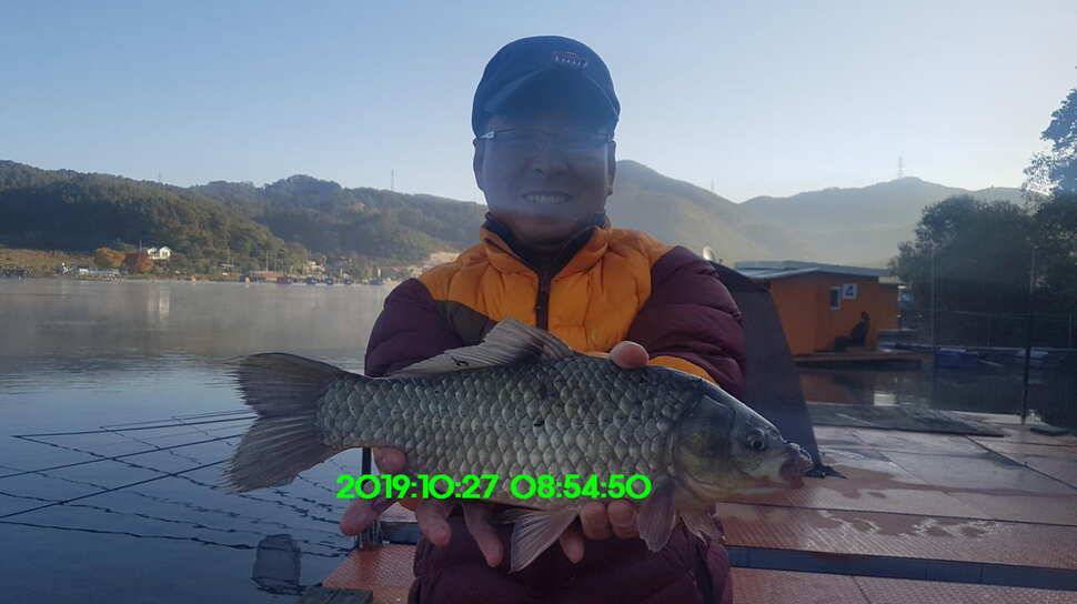 신원낚시터 10월29일 또다시 토종 49센티가 등장 했습니다 (유료터정보 - 유료터점주조황)