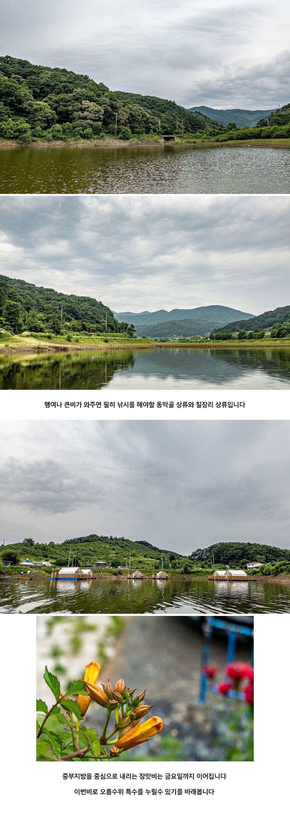 안성 두메낚시터 6월 24일 조황정보 (유료터정보 - 유료터점주조황)