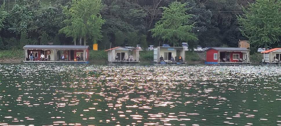 초가을 힐링 수곡낚시터 주후반 목금요일 조황 및 붕어방류 (유료터정보 - 유료터점주조황)