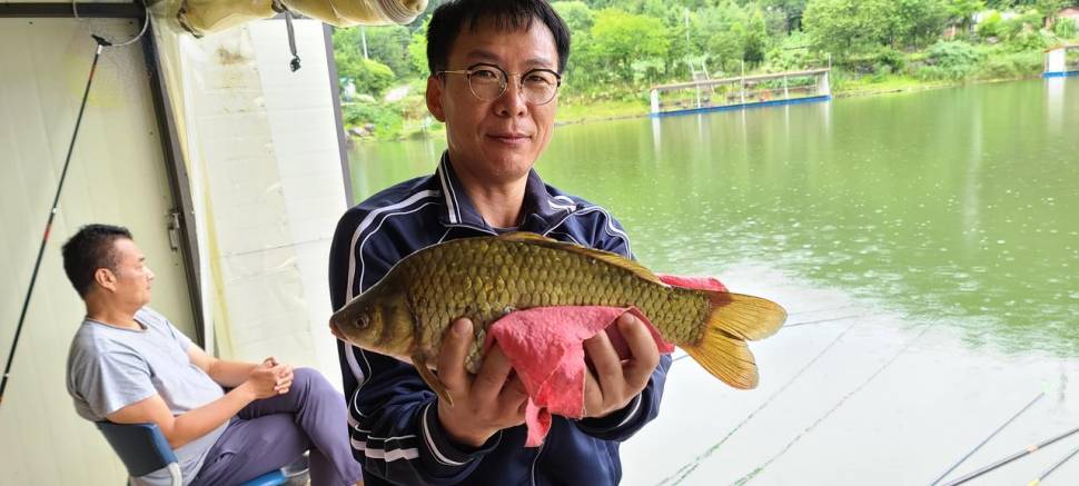 여름피서 붕어낚시 양평 수곡낚시터 수목 조황 및 붕어방류 (유료터정보 - 유료터점주조황)