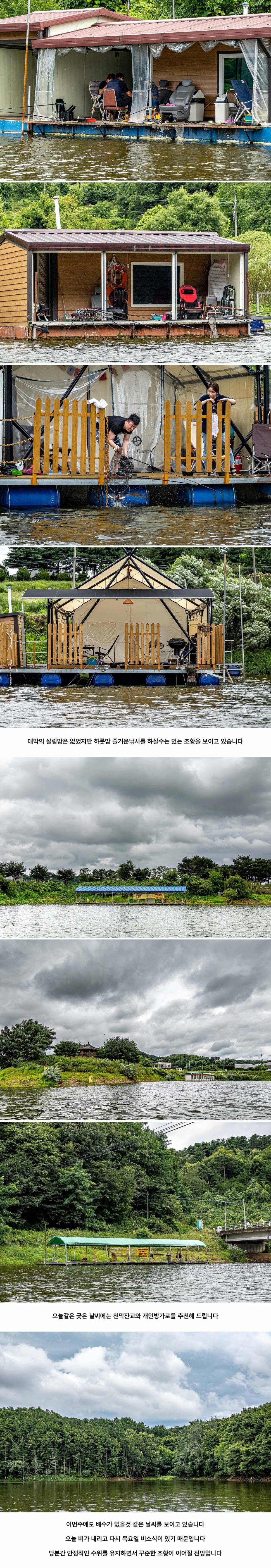 안성 두메낚시터 7월 20일 조황정보 (유료터정보 - 유료터점주조황)