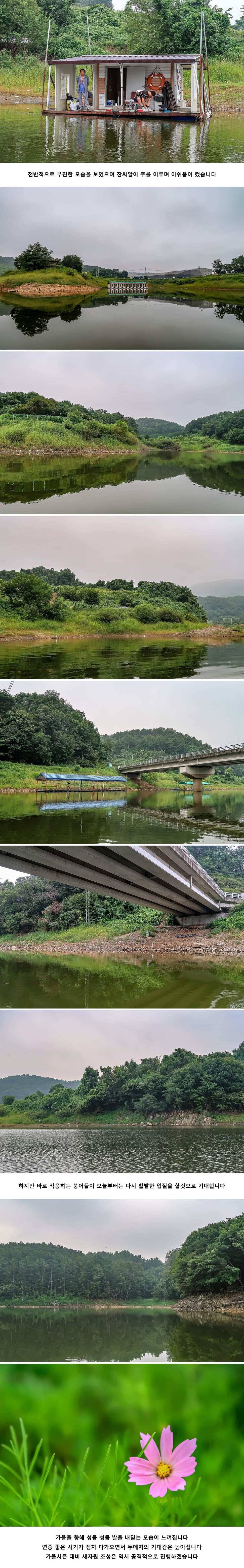 안성 두메낚시터 8월 28일 조황정보 (유료터정보 - 유료터점주조황)