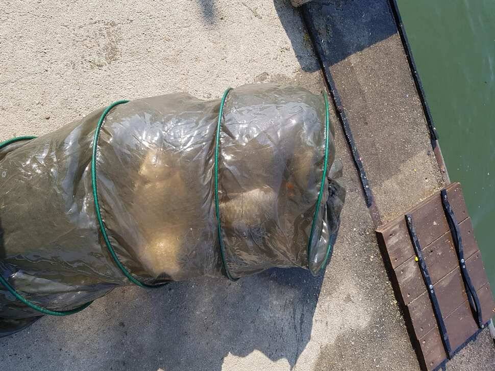 수요일 전좌대만석 입니다 넘잘나오네요 불빛도 업구 넘조용하고 분위기 최고 랍니다 (유료터정보 - 유료터점주조황)