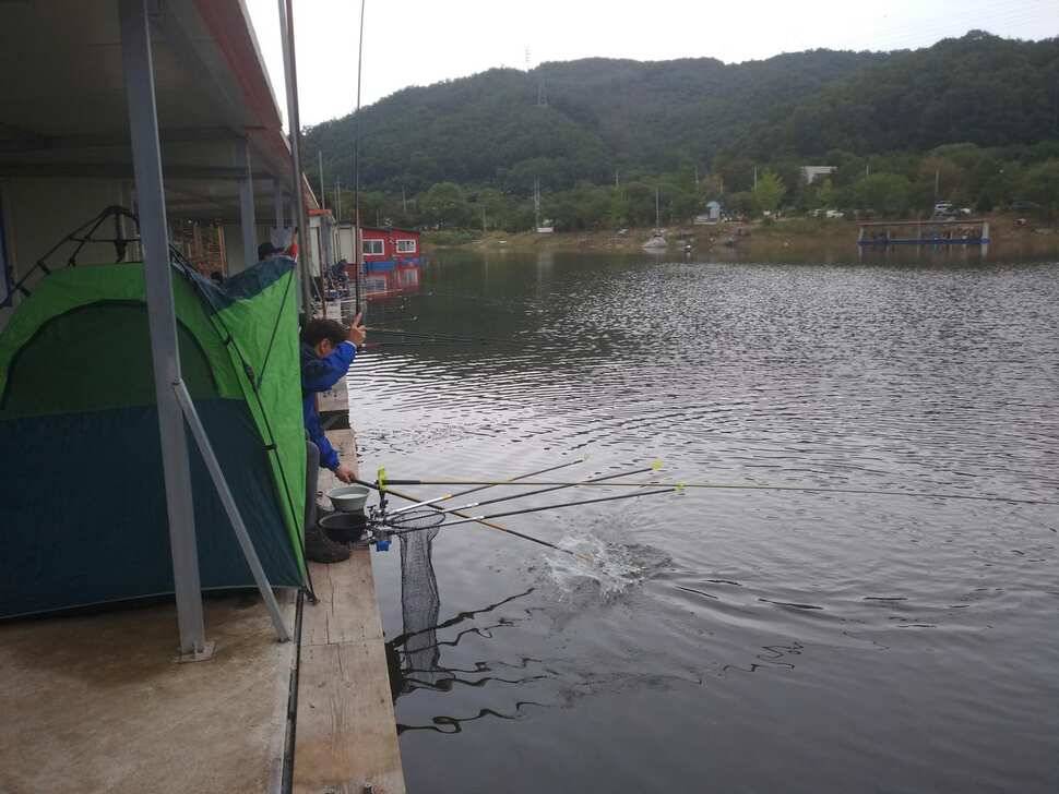 힐링 수곡낚시터 주말금요일 큰편차없이 고른 조황이 나옵니다 (유료터정보 - 유료터점주조황)