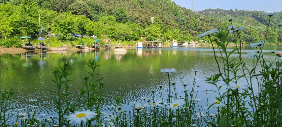금요일 토요일 주말 힐링 양평 수곡낚시터 조황 꾸준한 편입니다 (유료터정보 - 유료터점주조황)