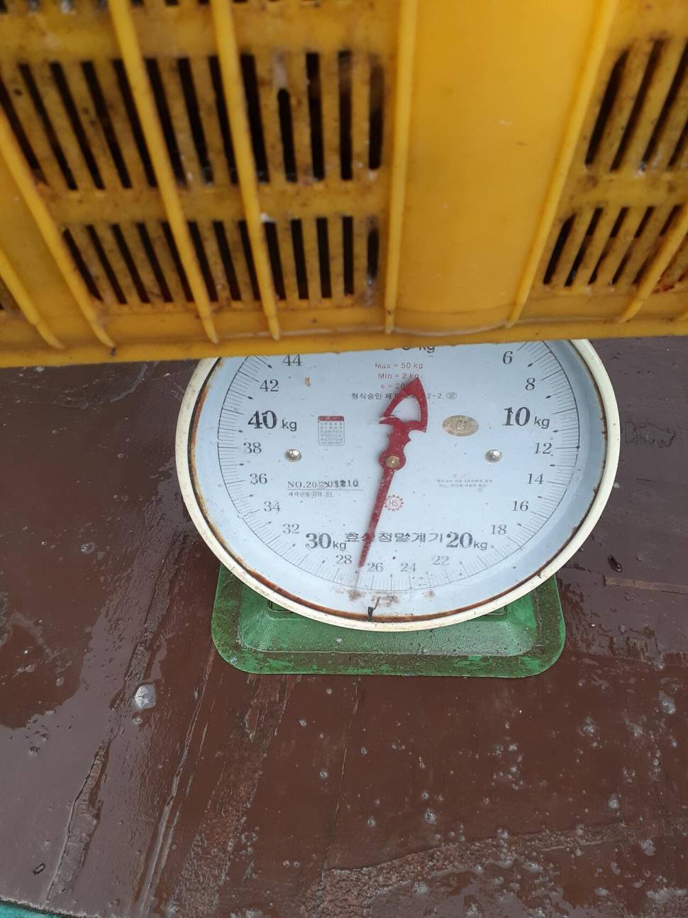 경주동산낚시터붕어 전용잡이터지난주 조황 (유료터정보 - 유료터점주조황)