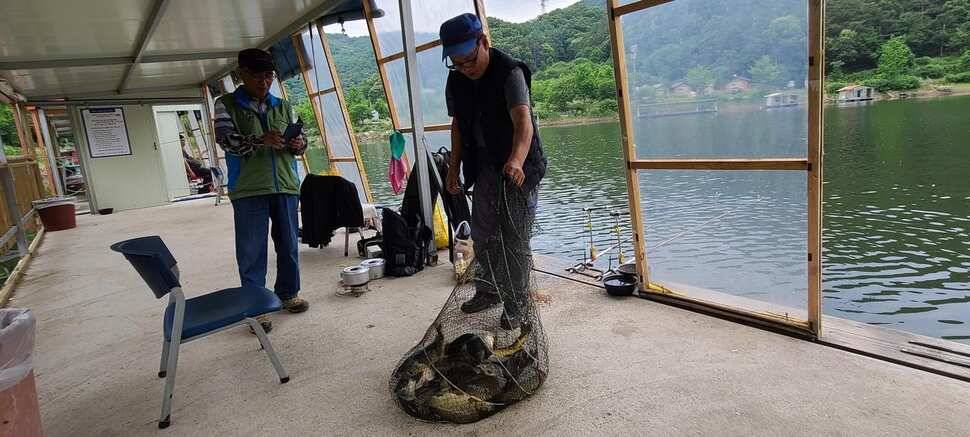 여름 피서 수곡낚시터 6월네째주 화요일 조황 안내 (유료터정보 - 유료터점주조황)