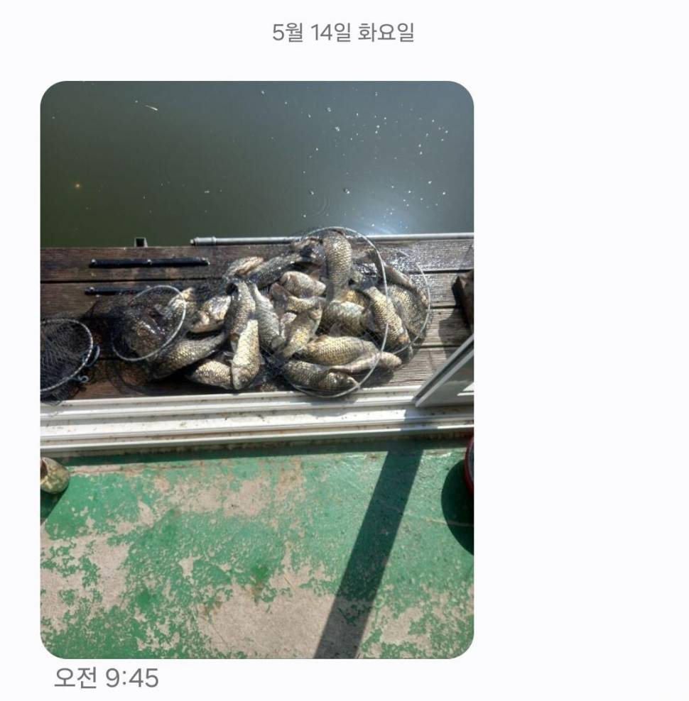 2024년 05월 셋째주 조황정보 용담낚시터사암지 4짜 5마리 (유료터정보 - 유료터점주조황)