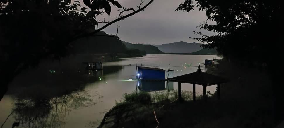 공주 고성낚시터 입니다 (유료터정보 - 유료터점주조황)