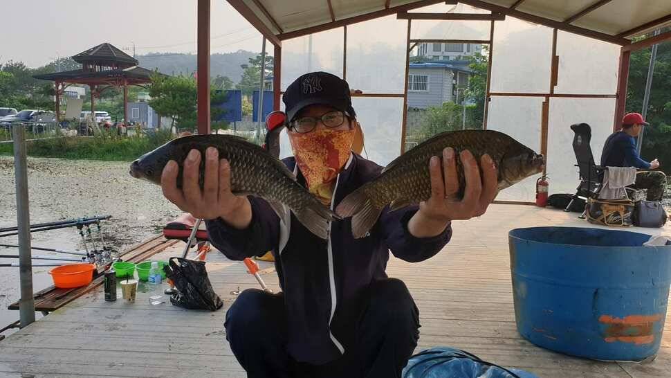 아산 명품 월랑낚시터 8월 첫번째 조황이야기입니다 (유료터정보 - 유료터점주조황)