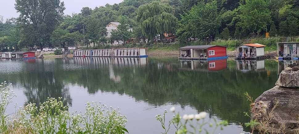 여름 피서 수곡낚시터 6월네째주 화요일 조황 안내 (유료터정보 - 유료터점주조황)