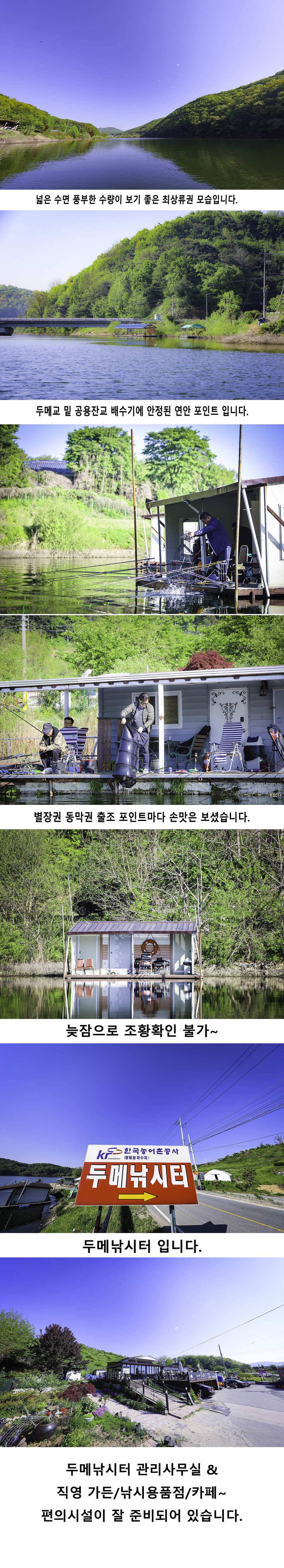 안성 두메낚시터 5월7일 조황안내 (유료터정보 - 유료터점주조황)