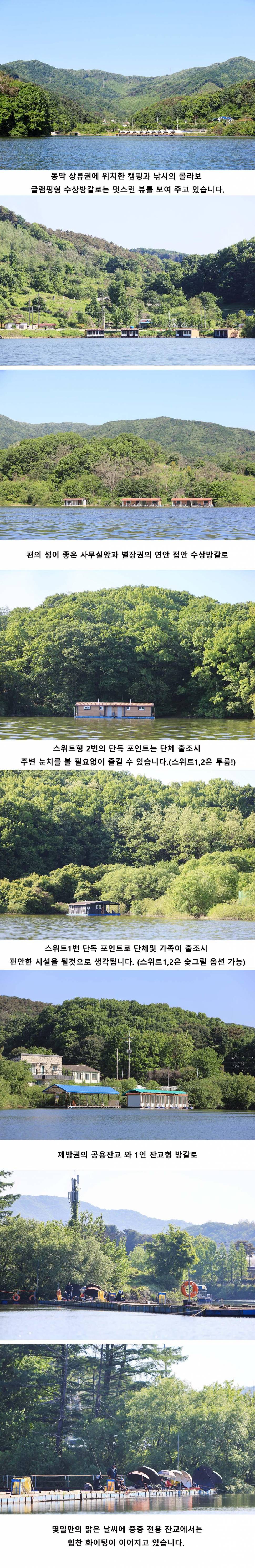 안성 두메낚시터 5월8일 조황안내 (유료터정보 - 유료터점주조황)