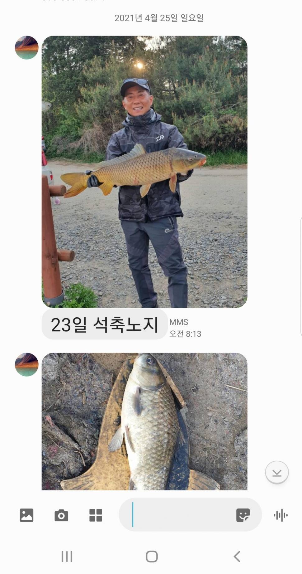 2021년 4월 마지막주 조황정보 용인 용담낚시터사암지 (유료터정보 - 유료터점주조황)