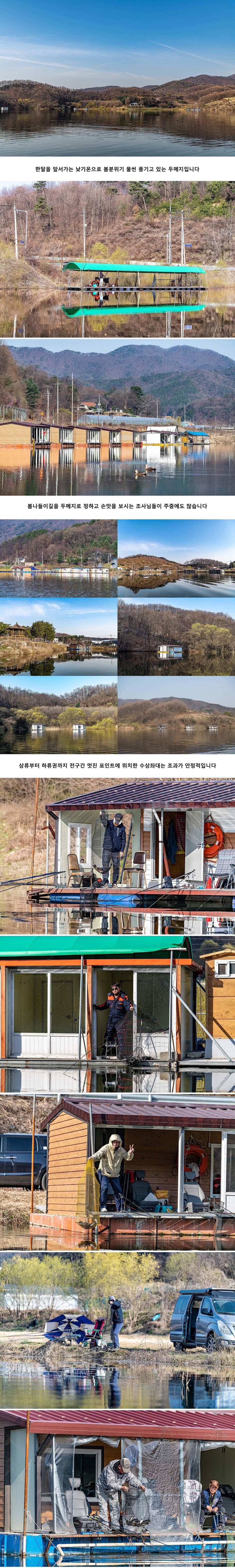안성 두메낚시터 3월 31일 조황정보 (유료터정보 - 유료터점주조황)